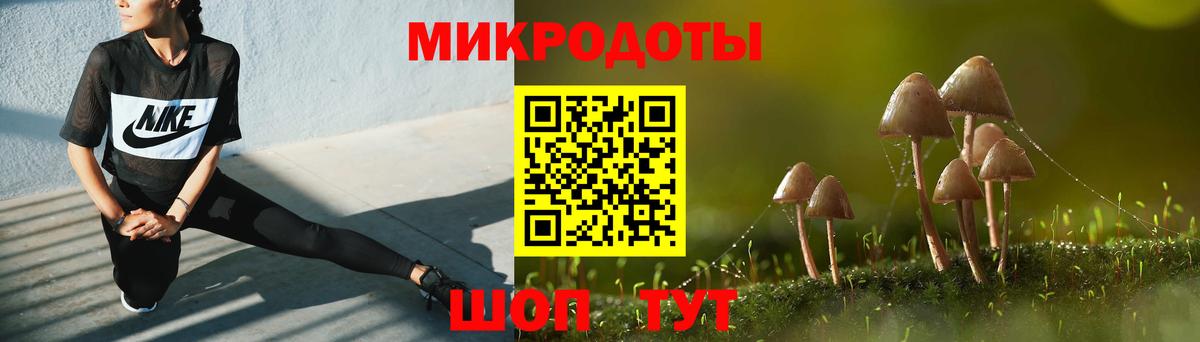Псилоцибиновые грибы GOLDEN TEACHER Муром